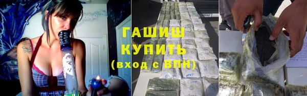 стаф Алзамай