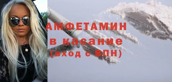стаф Алзамай