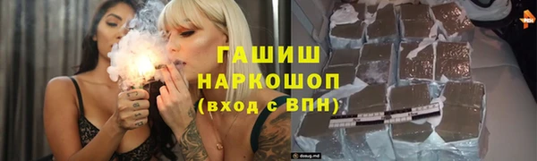 стаф Алзамай