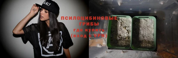 стаф Алзамай