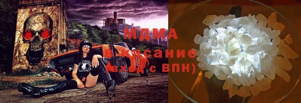 стаф Алзамай