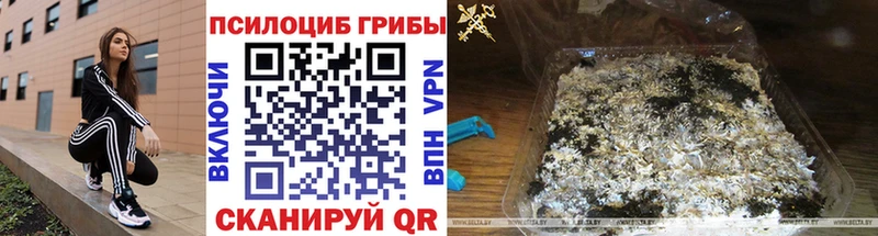 где можно купить наркотик Сельцо Галлюциногенные грибы MAGIC MUSHROOMS